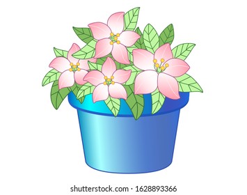 Blue flowerpot with pink flowers vector drawing. Beautiful, lush flowers and green leaves in a blue flower pot. Outline. Gardening and botanical illustration. Indoor plant.