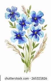 blue flowers