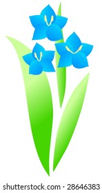 blue flowers