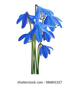 blue flowers