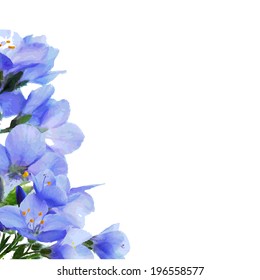 Borde de Flores Azules, Ilustración vectorial