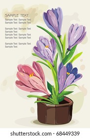 Blue flowers in a brown pot on light background, Elegance retro vector illustration.