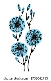 Blue flowers of chicory. Disign in flat style.