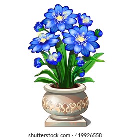 Blue flowers in a clay pot. Vector illustration.