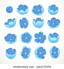 Flores azules, cinco pétalos en turnos diferentes aislados en fondo blanco