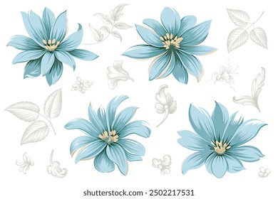 Blue flowers of hepatica, scilla, squill, chicory, flax, flowers isolated on white background. First spring summer flowers vintage illustration. Wild forest flowers vector.