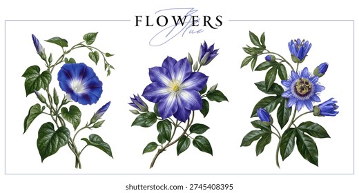 Blue flowers isolated on a white background. Vintage painting style illustration.