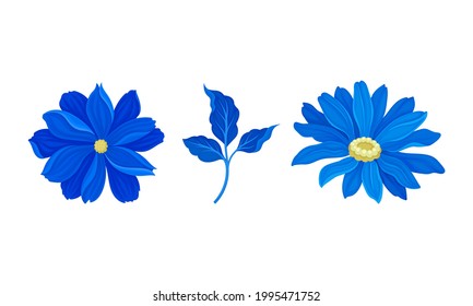 Blue Flowers with Lush Petals and Stem Vector Set