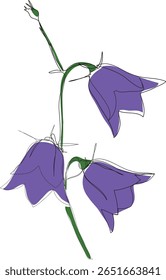 Blue flowers on a branch, simple sketch, bellflower flowers, wildflowers quick sketch