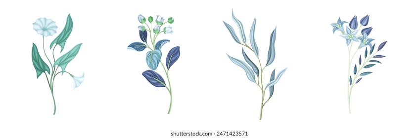 Blue Flowers on Stem as Meadow or Field Plant Vector Set