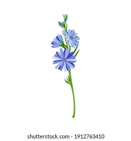 Blue Flowers on Stem or Stalk as Meadow or Field Plant Vector Illustration