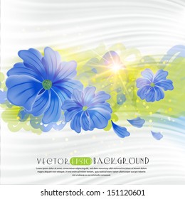 Blue flowers on a white background.The illustration contains transparency and effects. EPS10