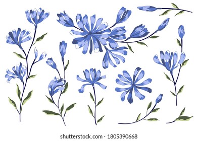 Flores azules de fondo blanco. Elementos florales aislados en un fondo blanco. Diseño para imprimir en tarjetas, invitaciones