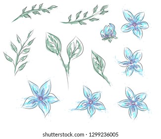 Blue flowers set.