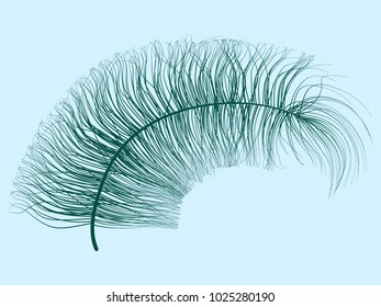 Blue Fluff. Beautiful Hand Drawn Feathers Isolated. Fluff for Wallpaper, Illustration, Carnival, Masquerade, Invitation, Paper, Textile. Decoration Element for Your Design.