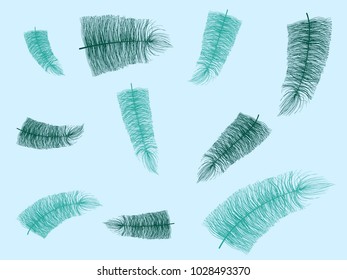 Blue Fluff. Beautiful Hand Drawn Feathers Isolated. Fluff for Wallpaper, Illustration, Carnival, Masquerade, Invitation, Paper, Textile. Decoration Element for Your Design.