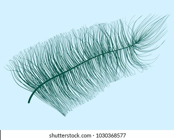 Blue Fluff. Beautiful Hand Drawn Feathers Isolated. Fluff for Wallpaper, Illustration, Carnival, Masquerade, Invitation, Paper, Textile. Decoration Element for Your Design.