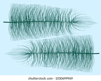 Blue Fluff. Beautiful Hand Drawn Feathers Isolated. Fluff for Wallpaper, Illustration, Carnival, Masquerade, Invitation, Paper, Textile. Decoration Element for Your Design.