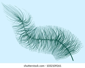Blue Fluff. Beautiful Hand Drawn Feathers Isolated. Fluff for Wallpaper, Illustration, Carnival, Masquerade, Invitation, Paper, Textile. Decoration Element for Your Design.