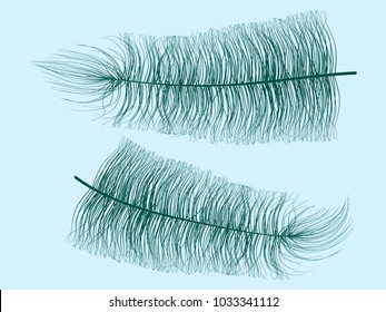 Blue Fluff. Beautiful Hand Drawn Feathers Isolated. Fluff for Wallpaper, Illustration, Carnival, Masquerade, Invitation, Paper, Textile. Decoration Element for Your Design.