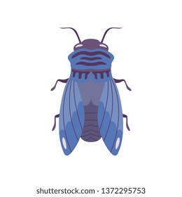 Blue Fly Insect Top View Flat Vector Illustration