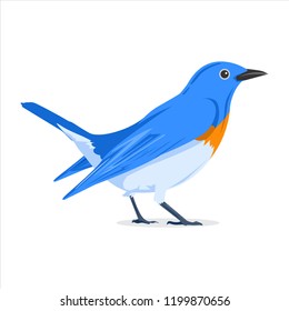 Blue Flycatcher Bird Vector Illustration