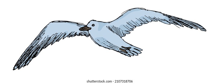 Gaviota azul voladora, aislada en un fondo transparente. Ilustración de dibujos animados. Dodo vectorial de color duro dibujado a mano