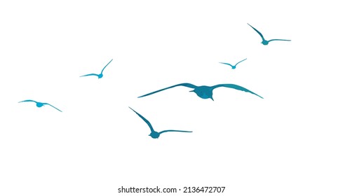 Blue flying seagulls. Vector illustration