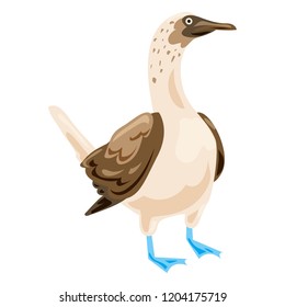 Blue footed booby icon. Cartoon of blue footed booby vector icon for web design isolated on white background