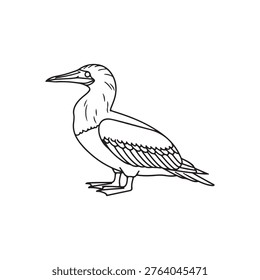 Blue footed booby outline vector flat illustration design