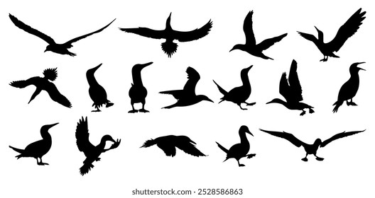 Blue footed booby silhouettes vector illustration set