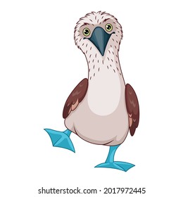 Blue footed booby vector cartoon illustration