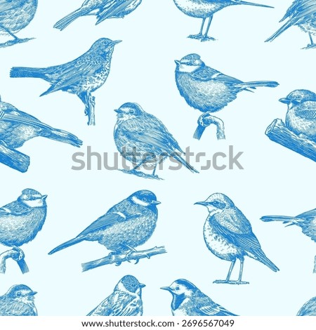 Blue forest birds seamless pattern. Toile de Jouy different species from European forests. Goldcrest, Thrush fieldfare, Robin. engraving, hatching style done with ink pen. 