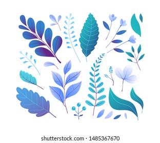 Conjunto de ilustraciones de los vectores de follaje azul. Diversas hojas de bosque, herbario abstracto aislado en fondo blanco. Hojas coloridas floreciendo flores y bayas. Colección de símbolos Botany