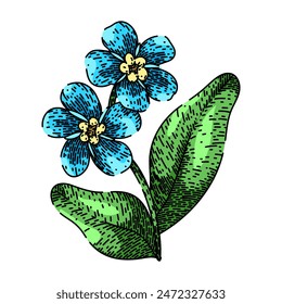 azul no me olvide dibujado a mano. acuarela de primavera, línea de dibujo, aislado azul botánico no me olvide boceto de Vector. ilustración de color aislado