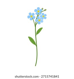 Blue forgetmenot flower illustration in flat vector style with green leaves, delicate spring floral element for romantic design, forgetmenot isolated on white background