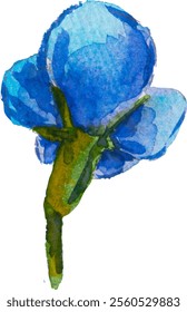 Blaue Vergissmeinnicht-Blumen und Blätter. und gezeichnete Vektorgrafik einzeln auf weißem Hintergrund, Vektor EPS 10. Vergessen Sie mich nicht Blumenclipart, einzelne Vektorgrafik. Skorpiongräser, Myosotis