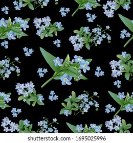 Blue forget-me-nots with rosettes of leaves on a black background. Textile composition, Template for design print, fabric.