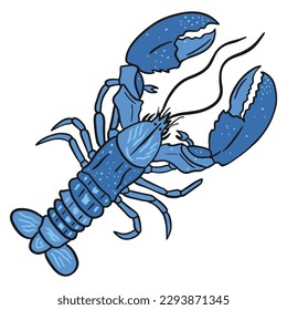 Blue Freshwater Lobster ,good for graphic design resources, posters, banners, templates, prints, coloring books and more.