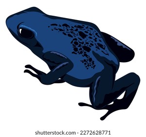 blue frog amphibian exotic animal