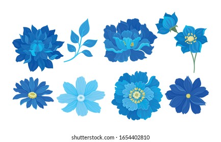 Blue Full-blown Flowers and Leaves Decorative Elements Vector Set