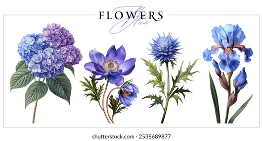 Blue garden flowers isolated on a white background. Vintage painting style illustration.