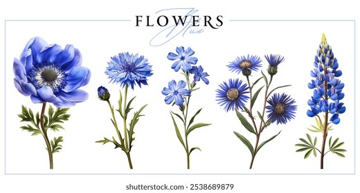 Blue garden flowers isolated on a white background. Vintage painting style illustration.