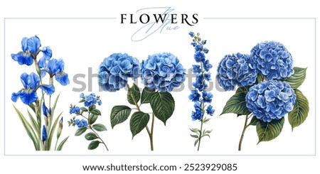 Blue garden flowers isolated on a white background. Vintage painting style illustration.