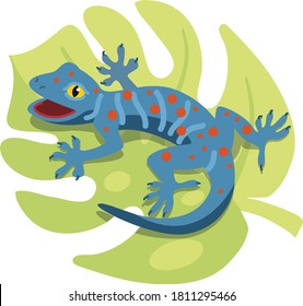 blue gecko no the leaf. tropical amphibious in jungles