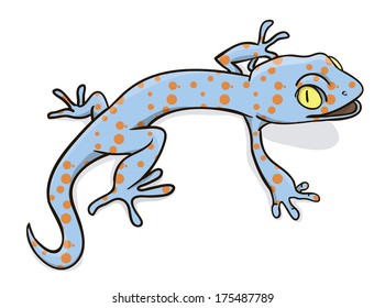 Blue gecko searching for food