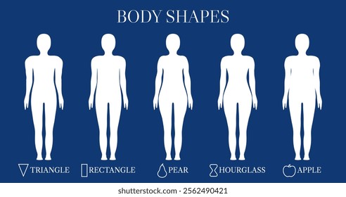 Blue Gender Neutral Body Shape Types  Triangle, Rectangle, Apple, Pear and Hourglass for Women and Men