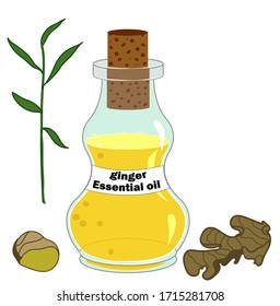 Blue glass bottle of ginger essential oil with cork and paper sticker. Vector stock illustration in cartoon style.