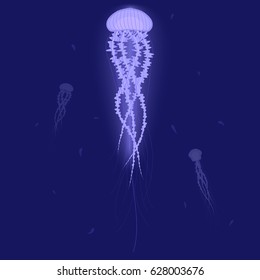 Blue glowing big Jellyfish under water. some jellyfishes swimming in the ocean