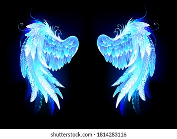 Blue, glowing, folded, stylized angel wings on black background.